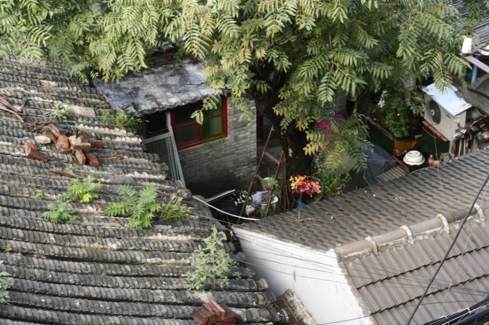 China,Peking