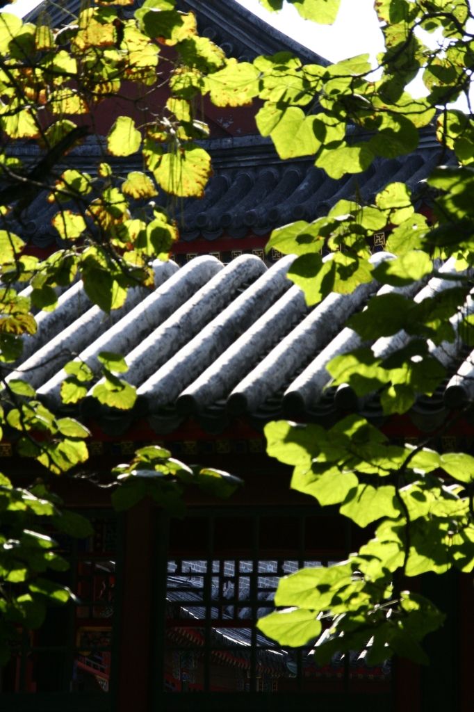China,Peking