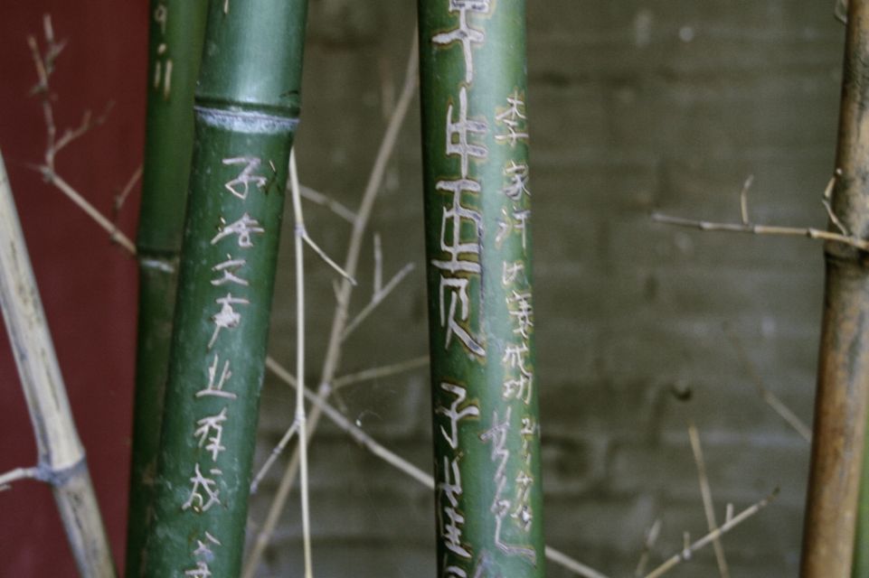 China,Peking,Bambus