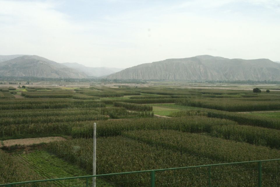China,Skytrain,Grün,Felder