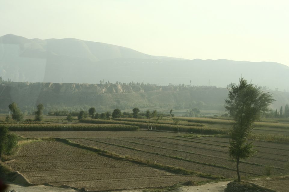 InChinaam12.09.2008