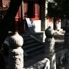 Bild in china