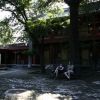 Bild in china