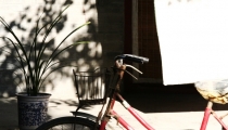 Bild am 2008-09-10