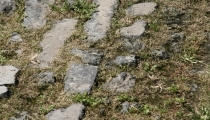 Bild am 2008-09-11
