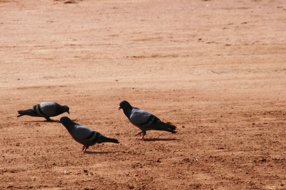 Indien,Delhi