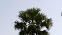 Bild am 2008-09-27