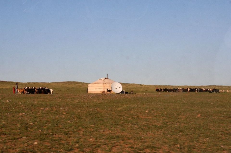 Mongolei,Jurte,Satellitenschüssel,Ziege