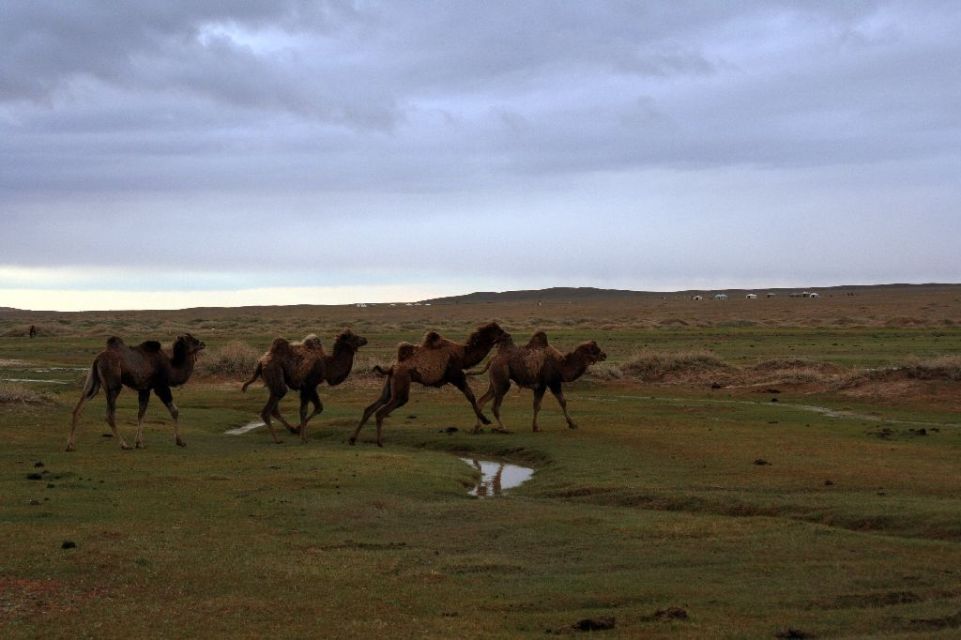 Mongolei