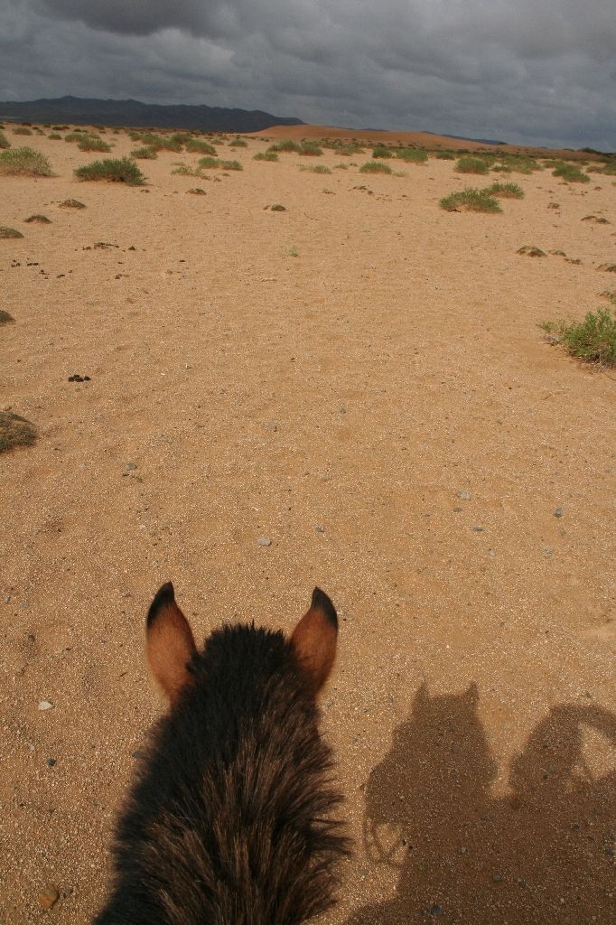 Mongolei,Reiten