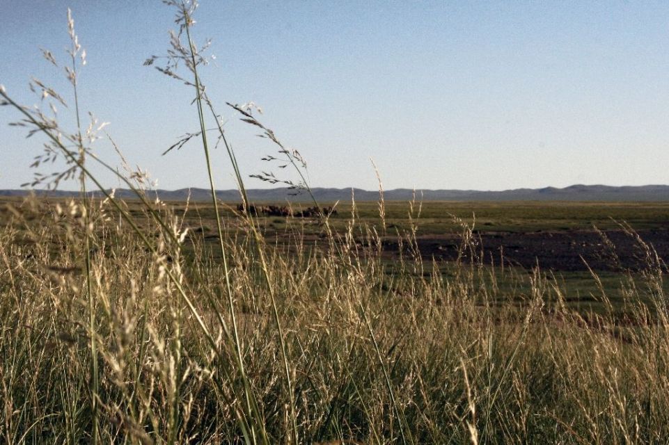 Mongolei