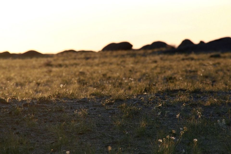 Mongolei