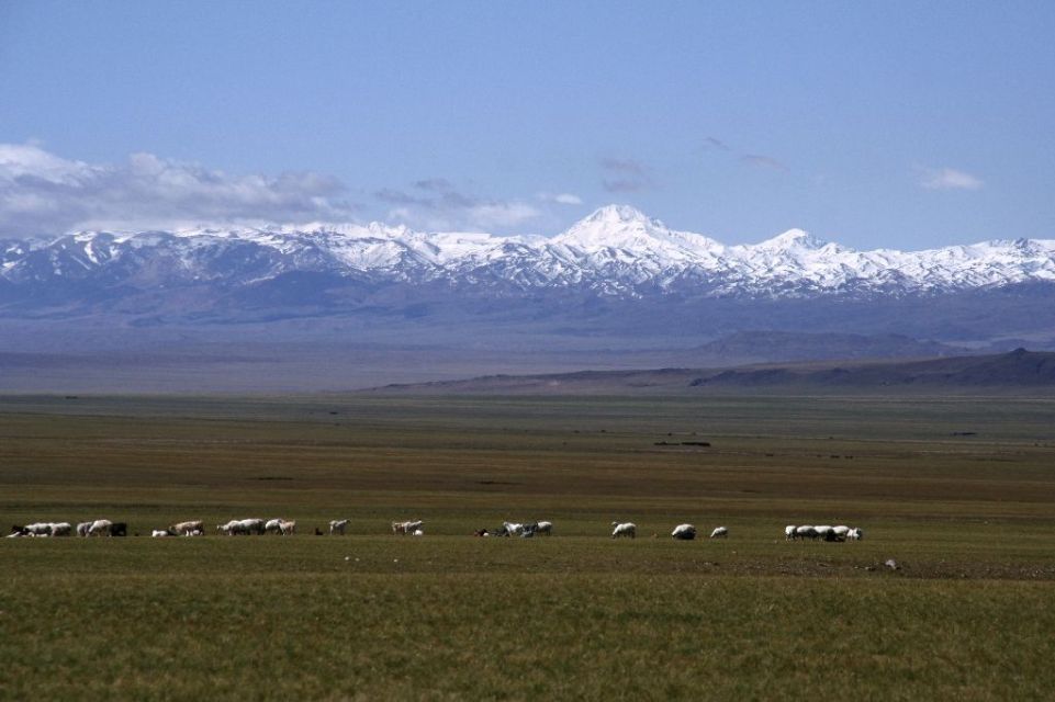 Mongolei,Schnee