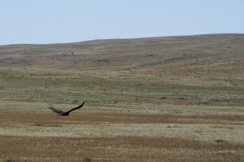 Mongolei