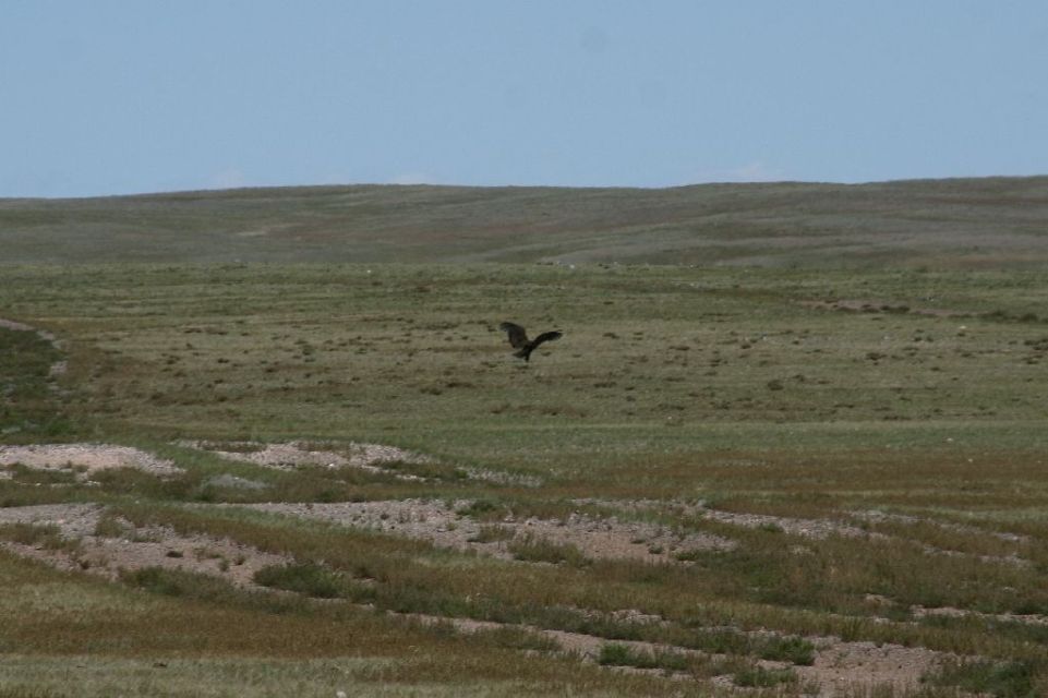Mongolei