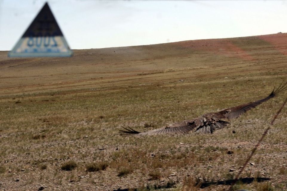 Mongolei