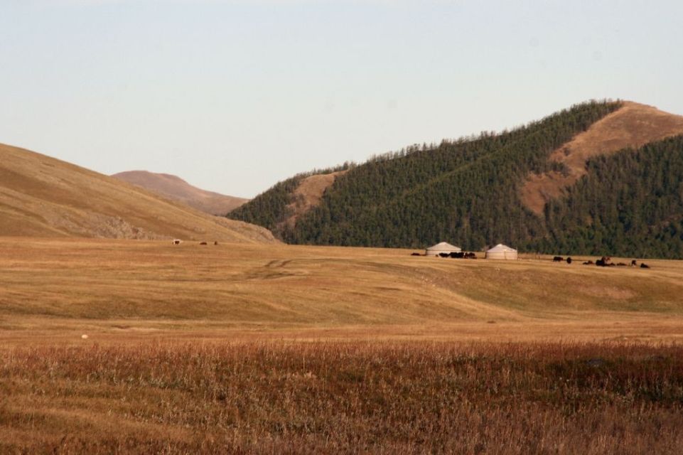 Mongolei,Jurte