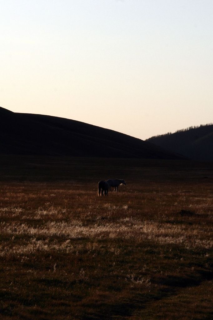 Mongolei