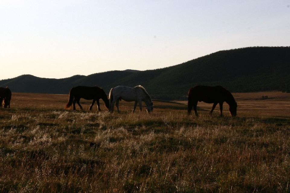 Mongolei