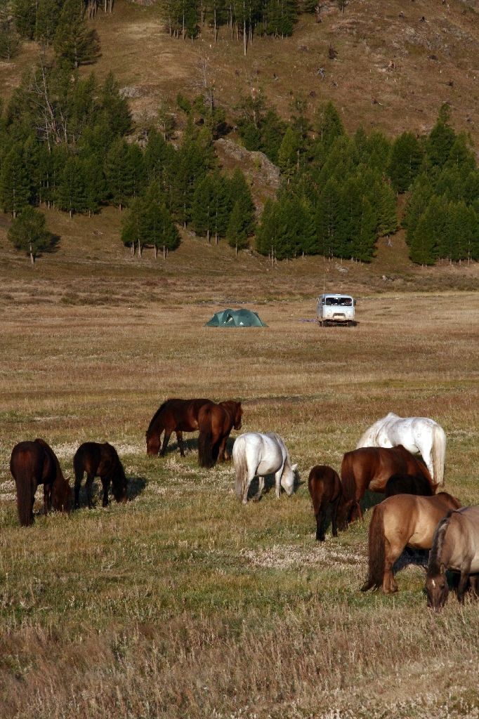 Mongolei,Zelt