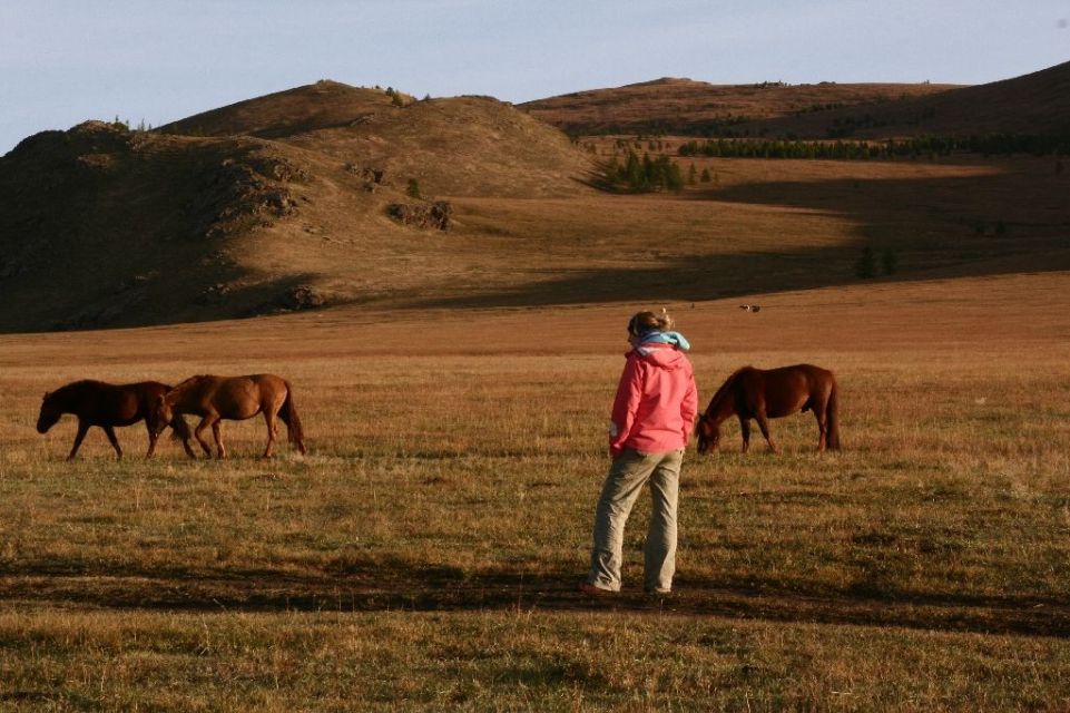 Mongolei,Pferd