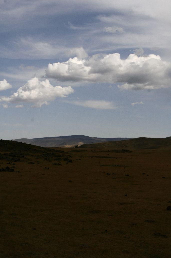 Mongolei