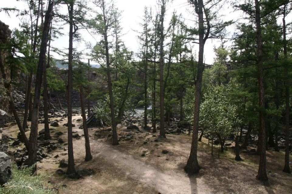 Mongolei,Wald