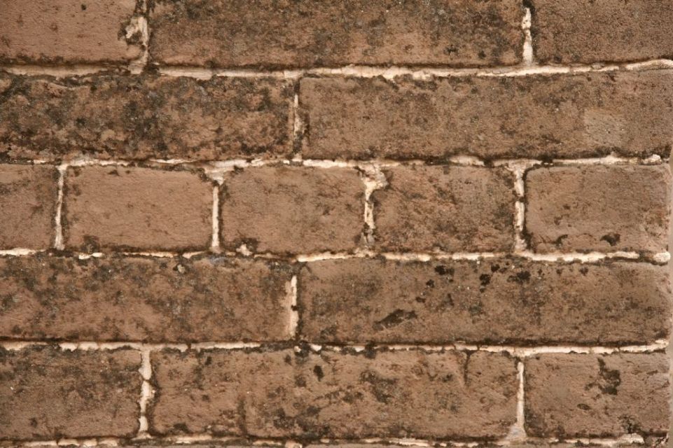 Mongolei,Texture,Pattern