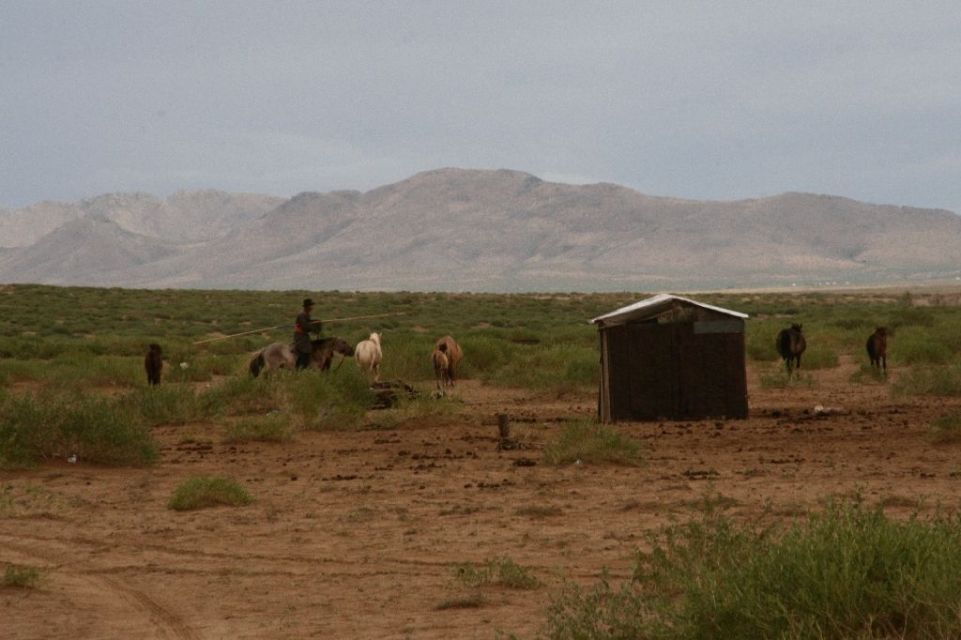 Mongolei,Mongolen,Pferde,Reiter