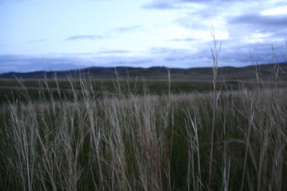 Mongolei