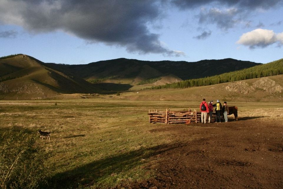 Mongolei,Kuh