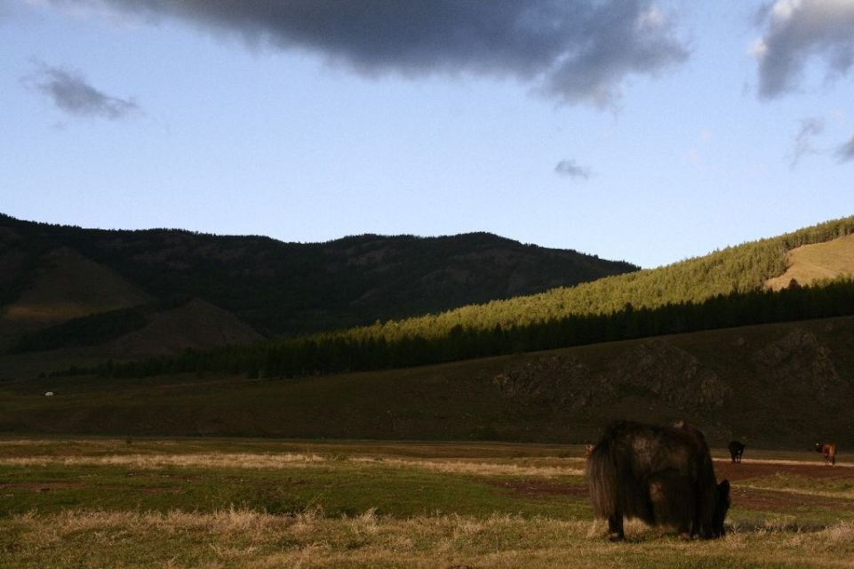 Mongolei