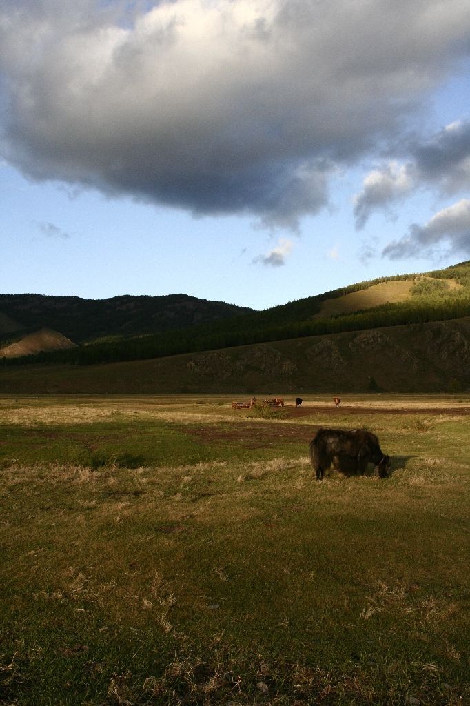 Mongolei