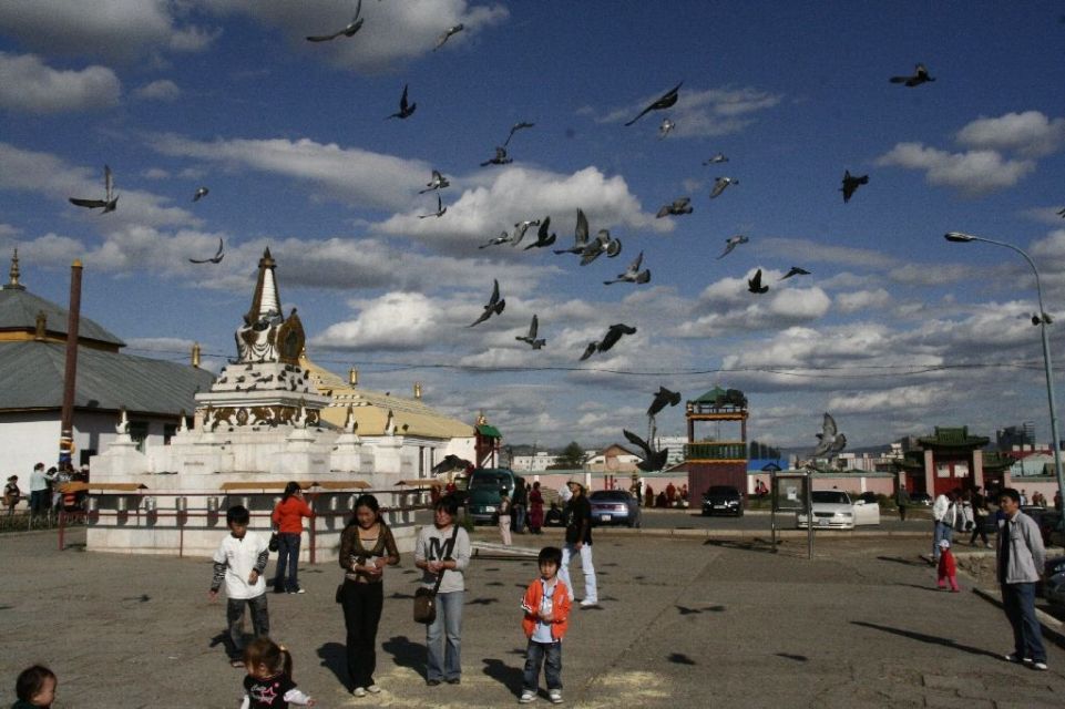 Mongolei,Ulan Bator,Kinder,Taube