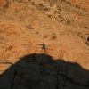 Bild in mongolei