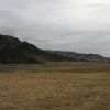 Bild in mongolei