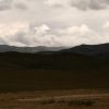 Bild in mongolei