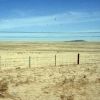 Bild in mongolei