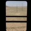 Bild in mongolei