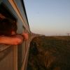 Bild in mongolei