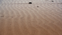 Bild am 2008-08-29