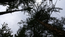 Bild am 2008-09-01