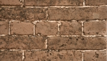 Bild am 2008-09-03