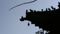 Bild am 2008-09-06