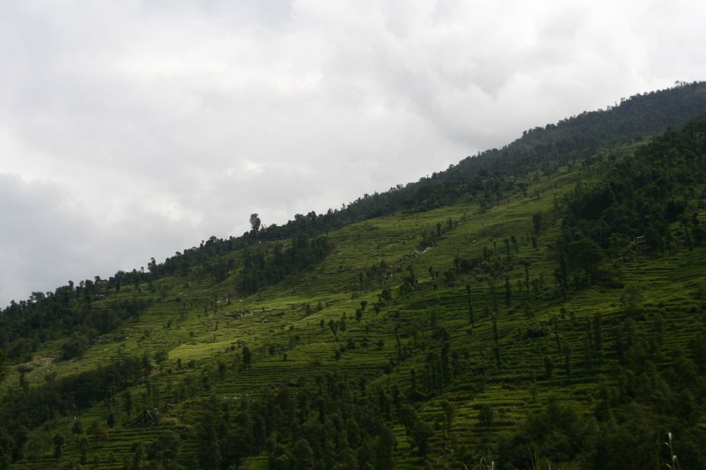 InNepalam23.09.2008