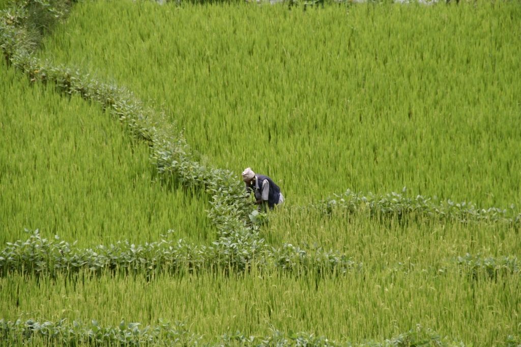 InNepalam23.09.2008