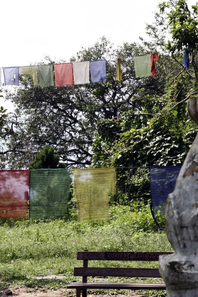 Nepal,Kathmandu,Gebetsfahnen