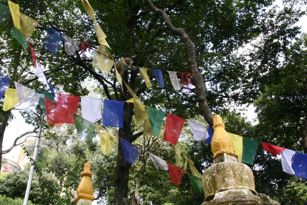 Nepal,Kathmandu,Gebetsfahnen,Affen