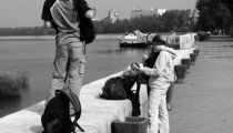 Bild am 2008-08-19