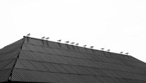 Bild am 2008-08-22